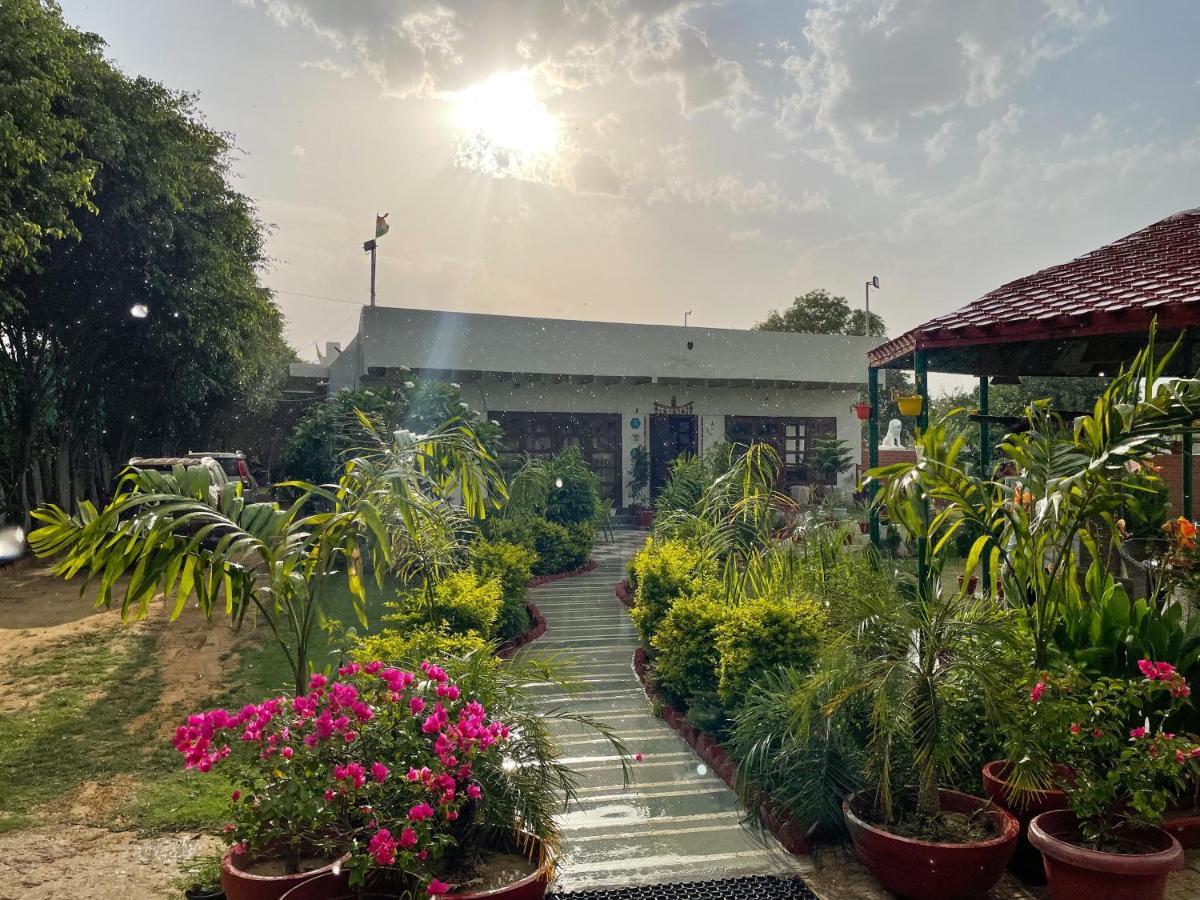 The Singh Farm Cosy Private Pool Farm Villa グルガウン エクステリア 写真